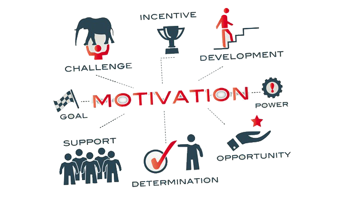 Blog Category - 11 - Andri Sunardi - Freelancer - Web Developer - CEO DIW.co.id