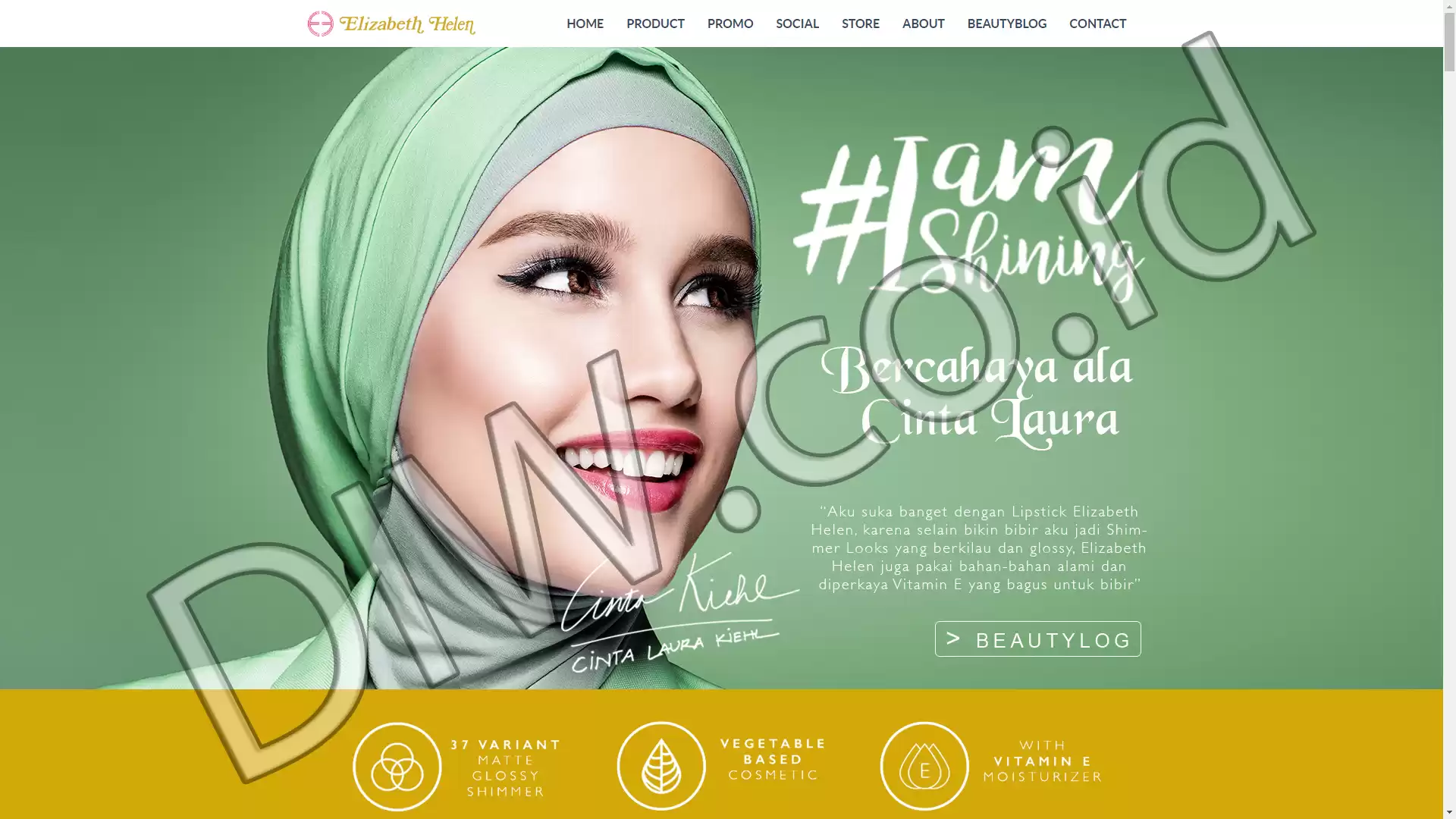 Project Image - 216 - Andri Sunardi - Freelancer - Web Developer - CEO DIW.co.id