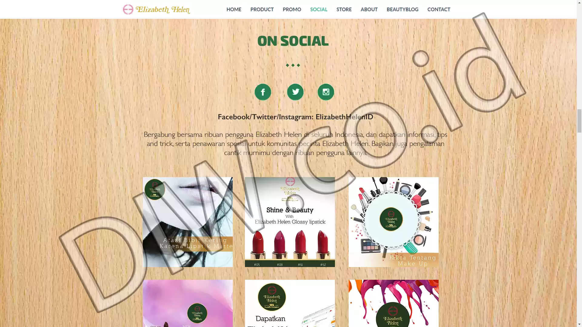 Project Image - 219 - Andri Sunardi - Freelancer - Web Developer - CEO DIW.co.id
